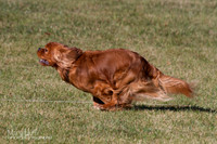 IMG_1598