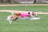 1 Prelims Silken Singles Charlie-9884