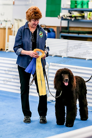 Novice B Ribbons-3468