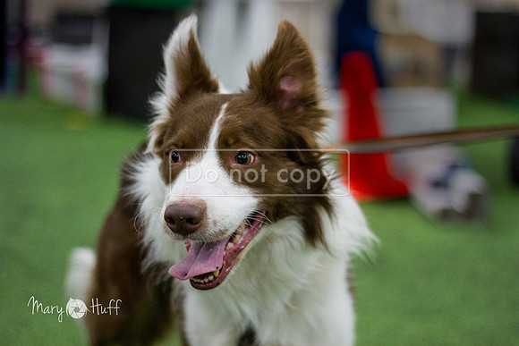 IMG_6660-Edit