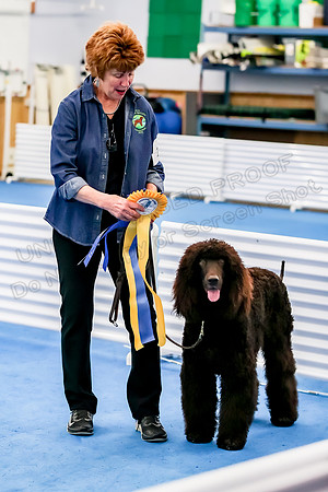 Novice B Ribbons-3469