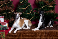 xmas strack-402