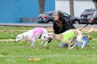 2 Finals Whippet Open, Reno Wyatt-9382