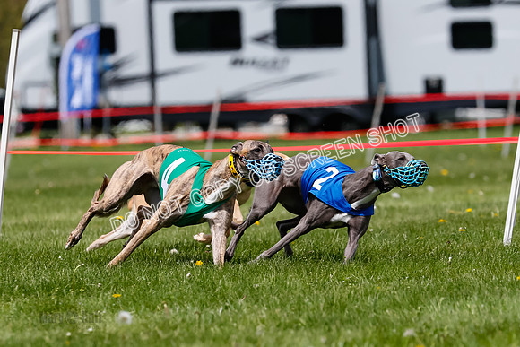 NOTRA Program 3, Race 7, Sparks Jubilee Tahoe Mika-2-13