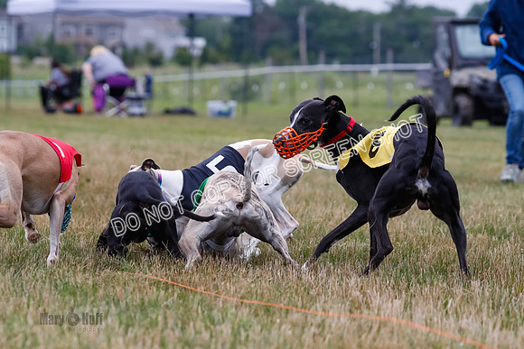 Prg 3, Race 4, Rowan-Jett-Blaze-Shimmy-Bogie-1154