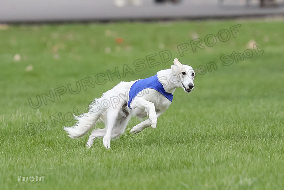 2 Finals Silken Singles Ripley-0481