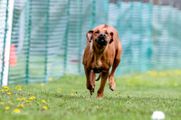 AE4I3905
