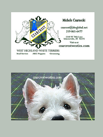 Czarnecki Business Card