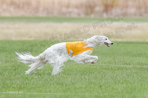 2 Finals Fch, Joker Finnegan-0112