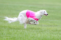 1 Prelims Fch, Finnegan Joker-9450
