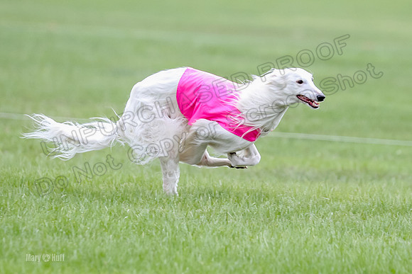 1 Prelims Fch, Finnegan Joker-9450