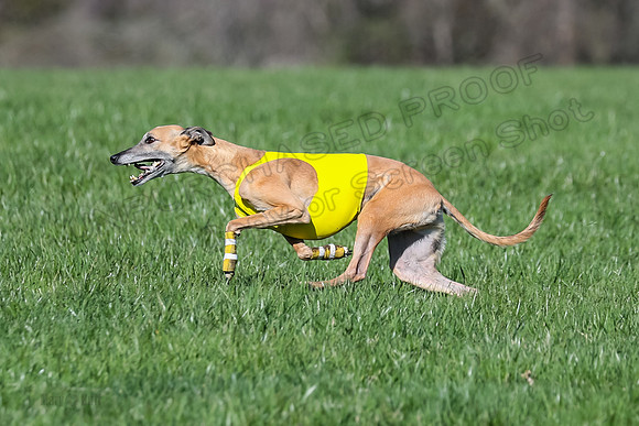 1 Prelim Fch B-3, Vulcan Charlie Riggs-3641