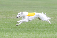 1 Prelims Silken Singles Arthur-9871