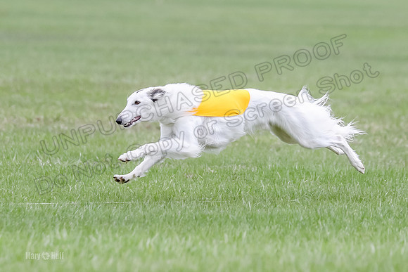 1 Prelims Silken Singles Arthur-9871