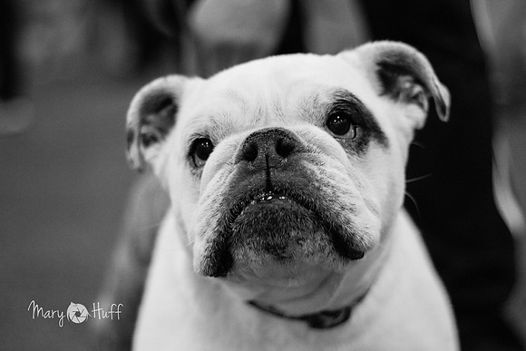 IMG_6753