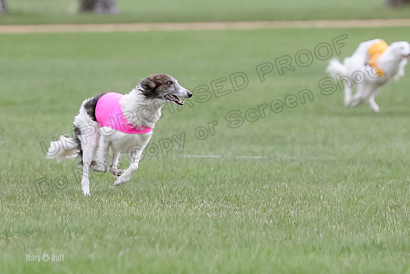 2 Finals Fch, Joker Finnegan-0107