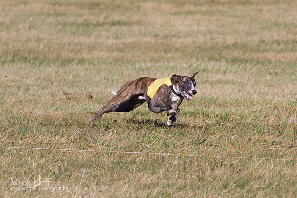IMG_3038