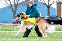 2 Finals Borzoi Open, Bene-9351