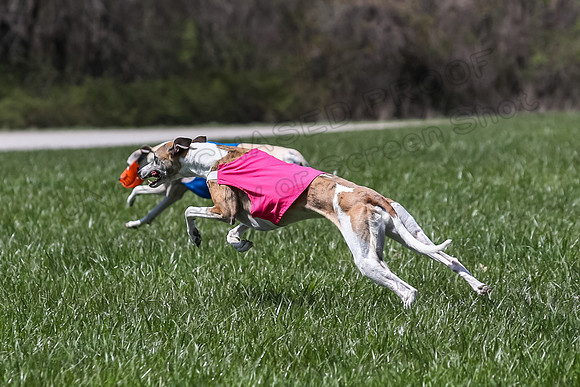 2 Finals Veterans A-1, Carney Stetson Lynesse-0857