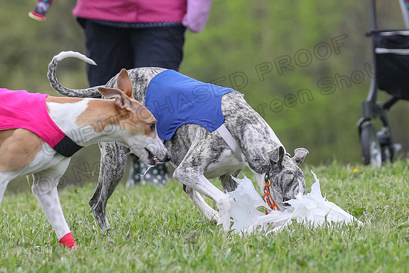 Finals Open G3, Digit Riddle Cuvee-1626