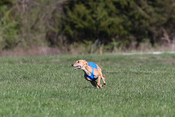 1 Prelim Fch B-2, Captain Mantle King Midas-3600
