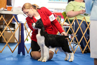 Puppy Dog 6-9