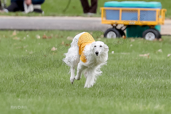 2 Finals Fch, Joker Finnegan-0088