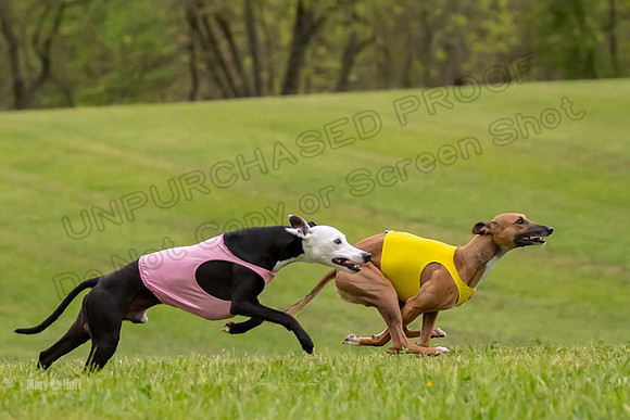 Prelim Open C1, Wrath Ozzy Fia-3889