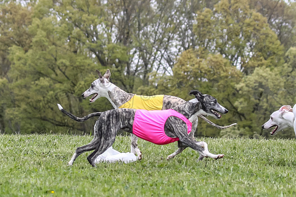 Finals Open C4, Ripley Prim Synner-0778