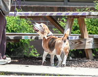 AE4I0445
