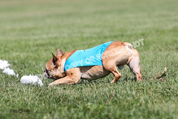 AE4I1692