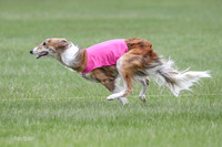 1 Prelims Silken Singles Charlie-9904