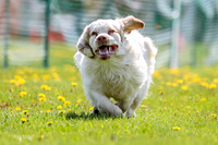 AE4I1852