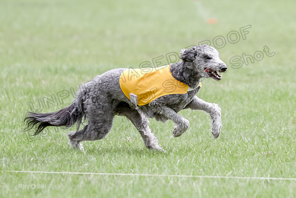 1 Prelims LCI Ellie-0024