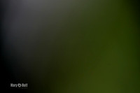 AE4I0961