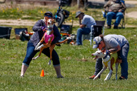 Prelim-3895