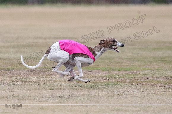Finals Open 4 Rigel Trixie-4113