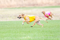 1 Prelim RR Open 1, Islay Kya Ace-9119