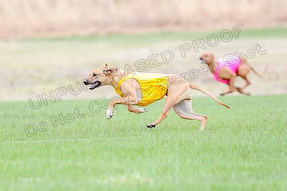1 Prelim RR Open 1, Islay Kya Ace-9119