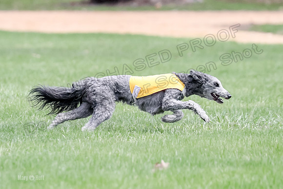 1 Prelims LCI Ellie-0021
