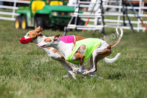 Open Prelim B2, Latte, Wizard-7862