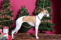 xmas Arthur-639