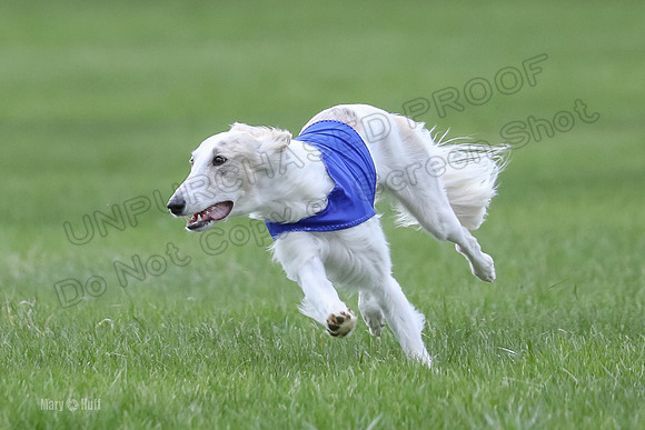 2 Finals Silken Singles Ripley-0491