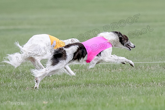 2 Finals Fch, Joker Finnegan-0103