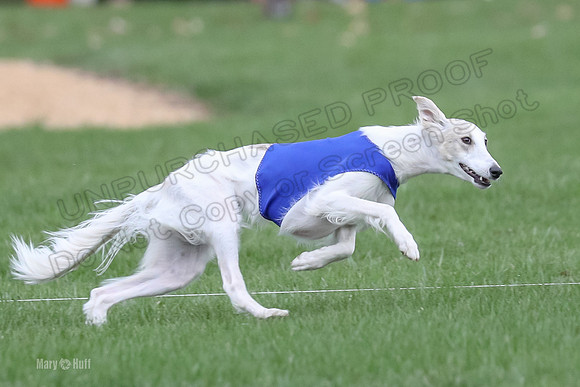 2 Finals Silken Singles Ripley-0482
