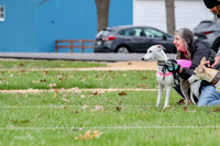 2 Finals Whippet Open, Reno Wyatt-9380