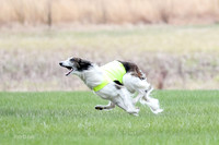 1 Prelims Fch, Finnegan Joker-9458