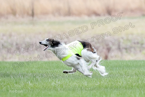 1 Prelims Fch, Finnegan Joker-9458