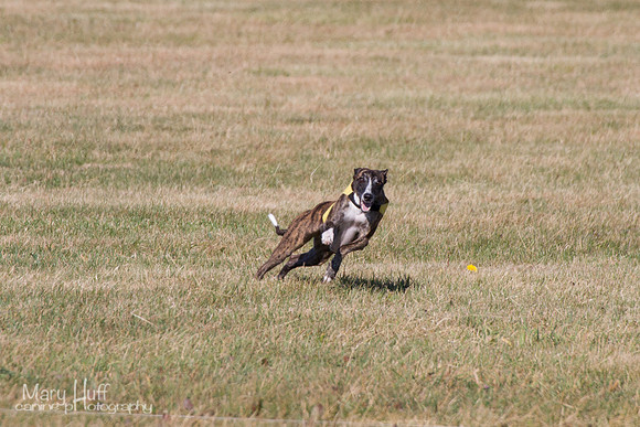 IMG_3036