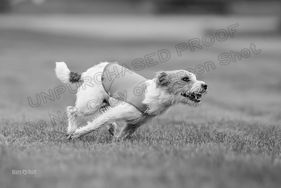 Prelims Jenny-0919-2